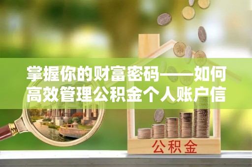 咨询掌握你的财富密码——如何高效管理公积金个人账户信息