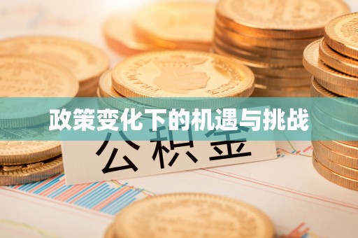 咨询政策变化下的机遇与挑战