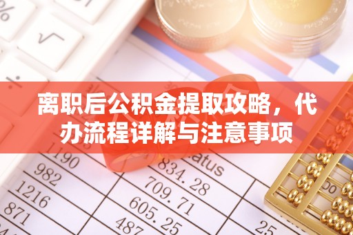 咨询离职后公积金提取攻略，代办流程详解与注意事项