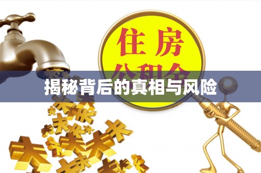 咨询揭秘背后的真相与风险