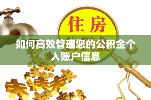 咨询如何高效管理您的公积金个人账户信息