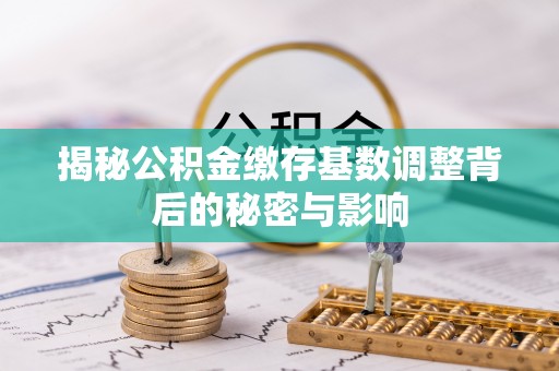 咨询揭秘公积金缴存基数调整背后的秘密与影响
