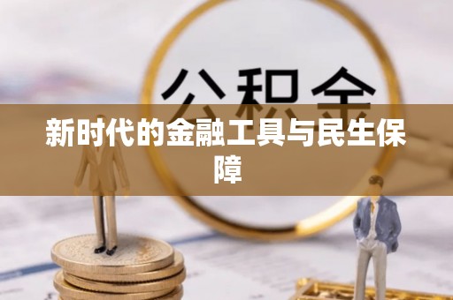 咨询新时代的金融工具与民生保障
