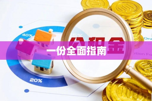 咨询一份全面指南