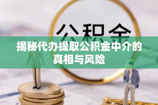咨询揭秘代办提取公积金中介的真相与风险