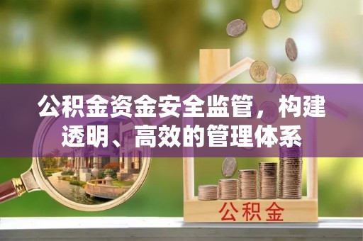 咨询公积金资金安全监管，构建透明、高效的管理体系