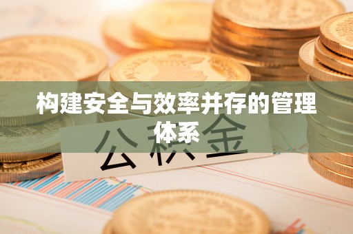 咨询构建安全与效率并存的管理体系