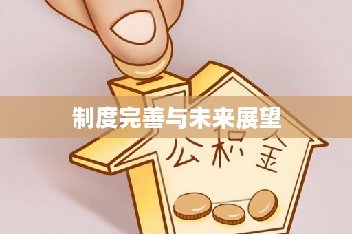 咨询制度完善与未来展望