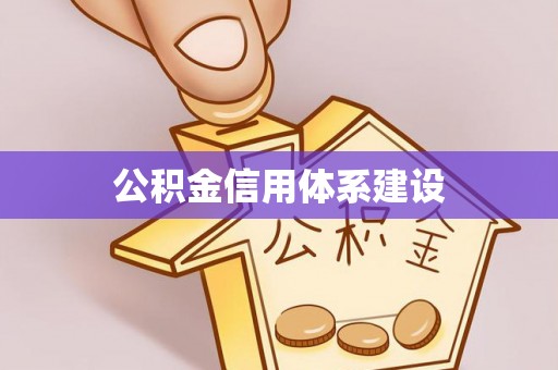 咨询公积金信用体系建设