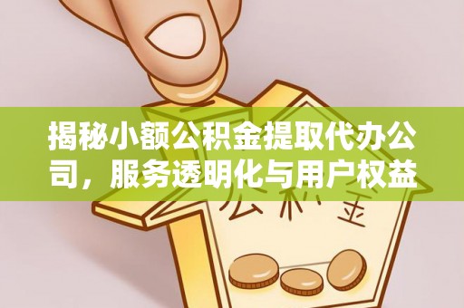 咨询揭秘小额公积金提取代办公司，服务透明化与用户权益保障