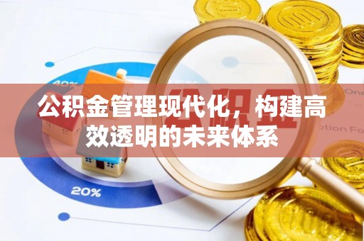 咨询公积金管理现代化，构建高效透明的未来体系