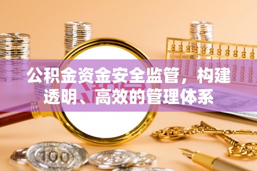 咨询公积金资金安全监管，构建透明、高效的管理体系