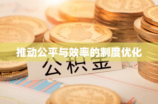 咨询推动公平与效率的制度优化