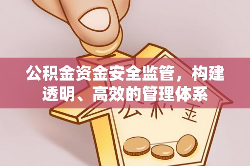 咨询公积金资金安全监管，构建透明、高效的管理体系