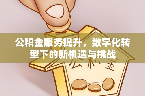 咨询公积金服务提升，数字化转型下的新机遇与挑战
