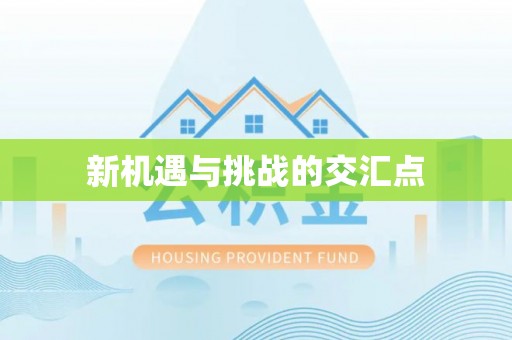咨询新机遇与挑战的交汇点