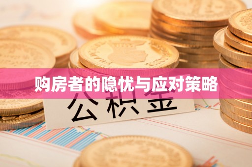 咨询购房者的隐忧与应对策略