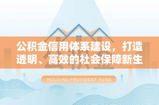 咨询公积金信用体系建设，打造透明、高效的社会保障新生态