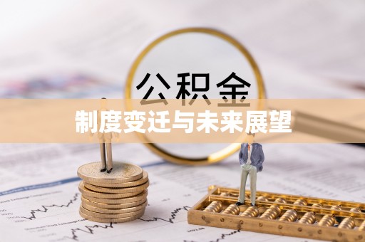 咨询制度变迁与未来展望