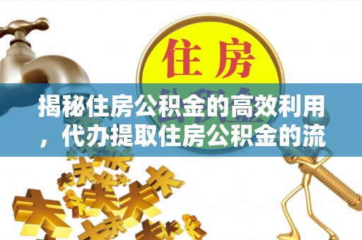 咨询揭秘住房公积金的高效利用，代办提取住房公积金的流程与技巧