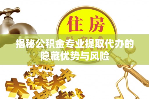 咨询揭秘公积金专业提取代办的隐藏优势与风险