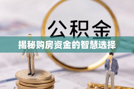 咨询揭秘购房资金的智慧选择