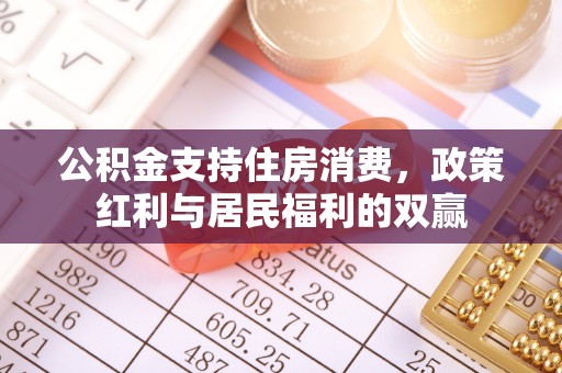 咨询公积金支持住房消费，政策红利与居民福利的双赢