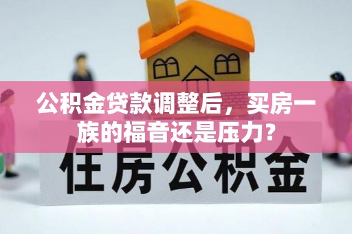 咨询公积金贷款调整后，买房一族的福音还是压力？