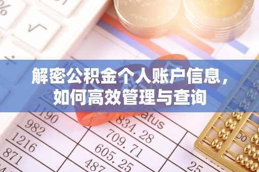 咨询解密公积金个人账户信息，如何高效管理与查询