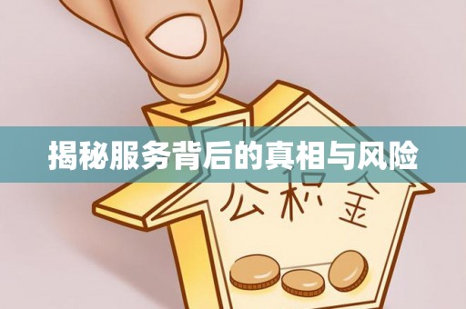 咨询揭秘服务背后的真相与风险