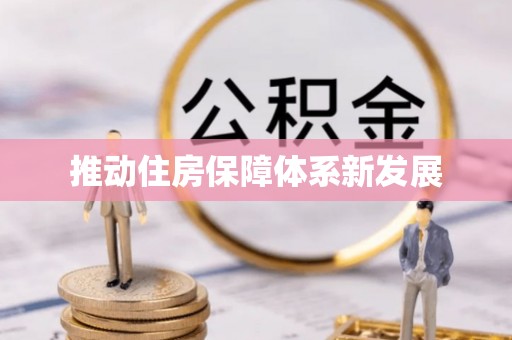咨询推动住房保障体系新发展