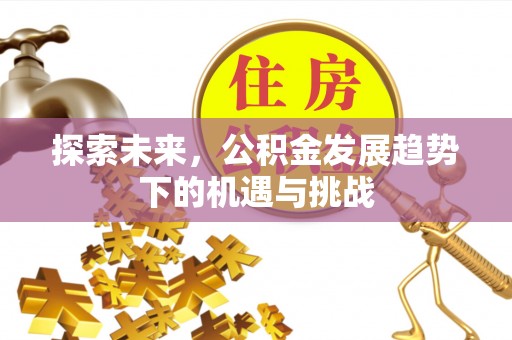 咨询探索未来，公积金发展趋势下的机遇与挑战