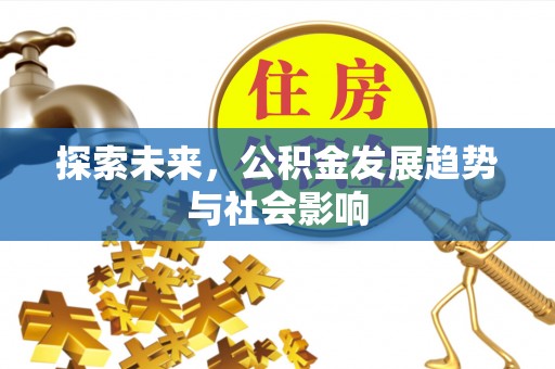 咨询探索未来，公积金发展趋势与社会影响