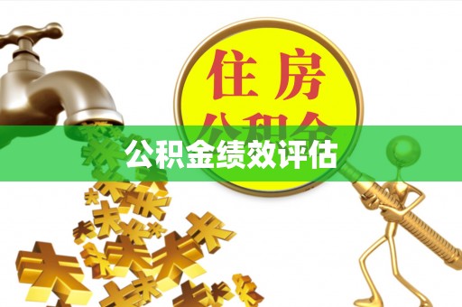 咨询公积金绩效评估