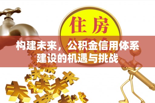 咨询构建未来，公积金信用体系建设的机遇与挑战