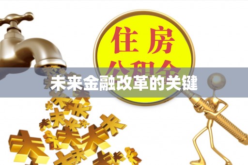 咨询未来金融改革的关键