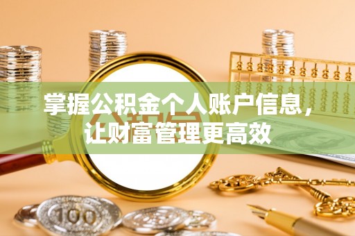 咨询掌握公积金个人账户信息，让财富管理更高效