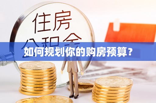 咨询如何规划你的购房预算？