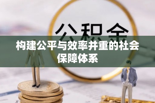 咨询构建公平与效率并重的社会保障体系