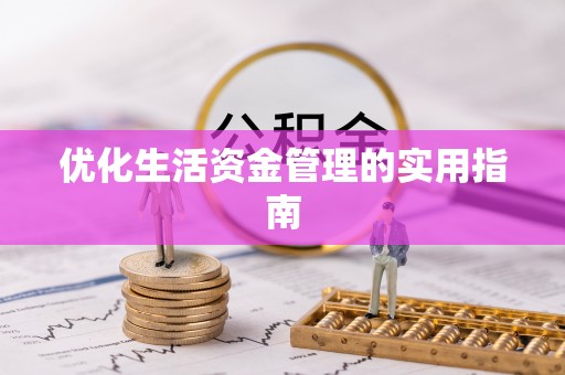 咨询优化生活资金管理的实用指南