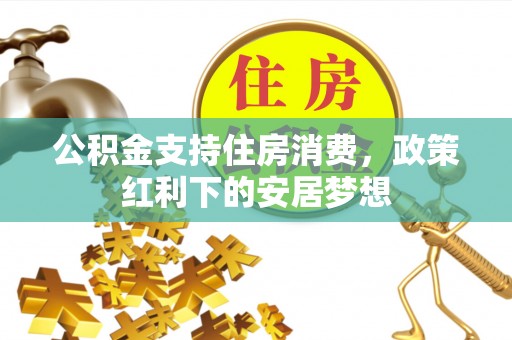 咨询公积金支持住房消费，政策红利下的安居梦想