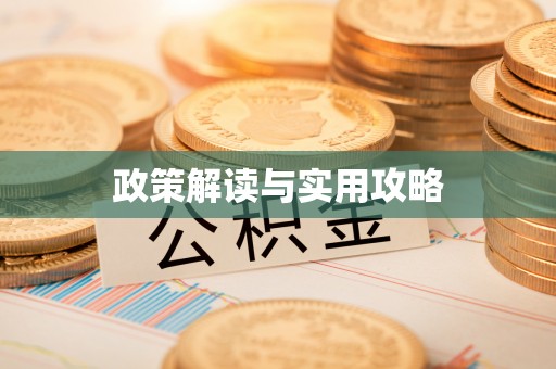咨询政策解读与实用攻略