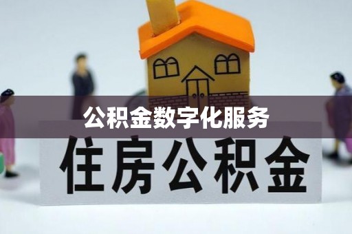 咨询公积金数字化服务