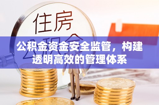 咨询公积金资金安全监管，构建透明高效的管理体系