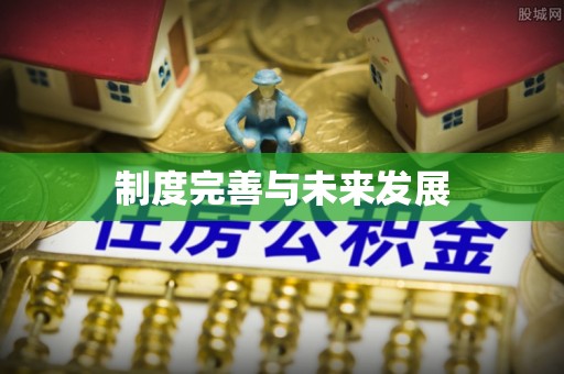咨询制度完善与未来发展