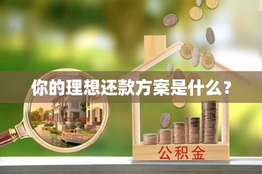 咨询你的理想还款方案是什么？