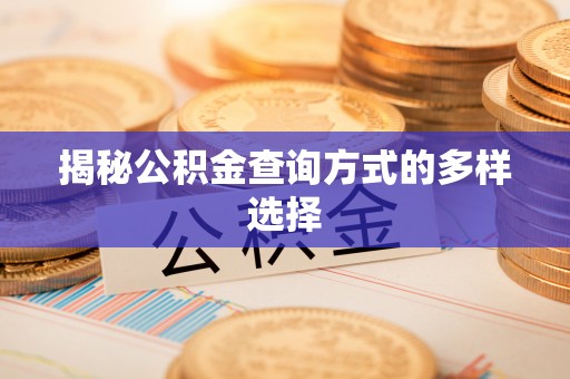 咨询揭秘公积金查询方式的多样选择