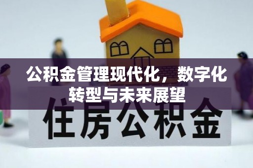 咨询公积金管理现代化，数字化转型与未来展望