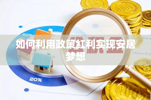 咨询如何利用政策红利实现安居梦想