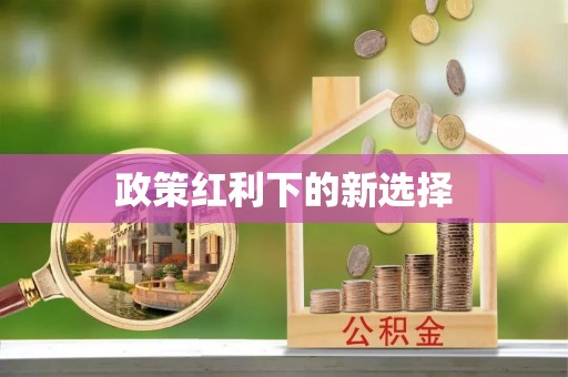 咨询政策红利下的新选择